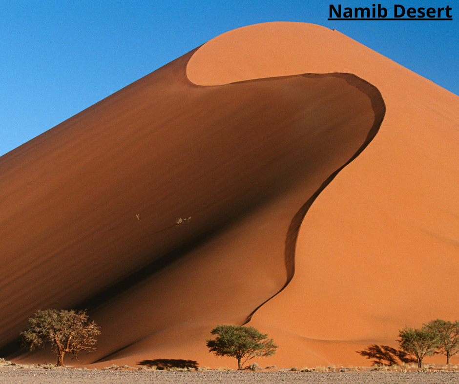 Namib Desert